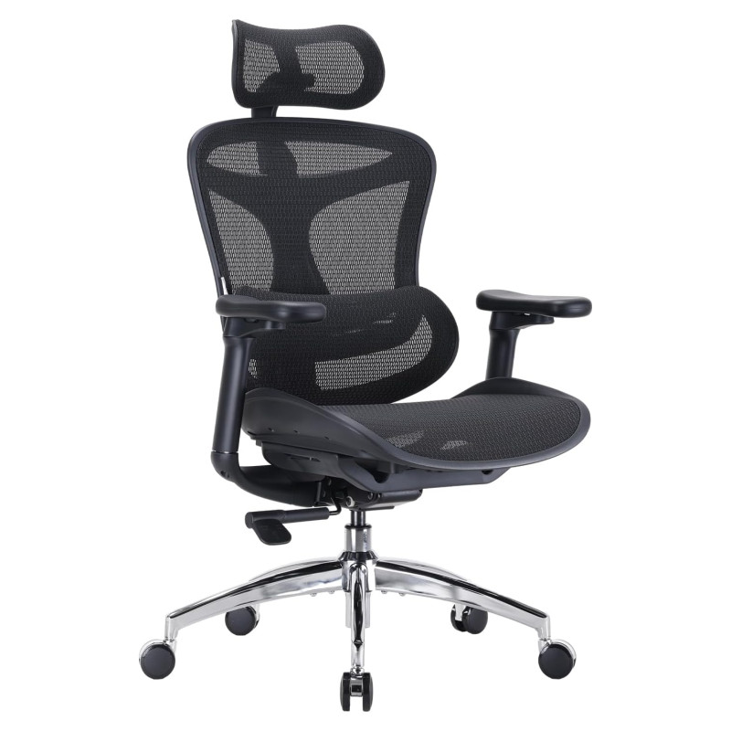 Sihoo Doro C300 Ergonomic Office Chair