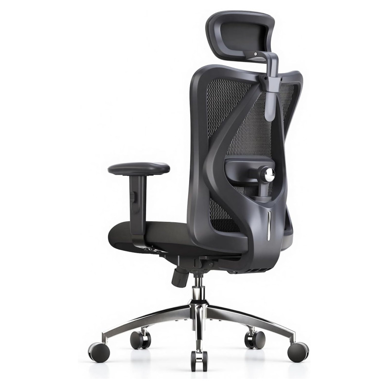Sihoo M18 Ergonomic Office Chair