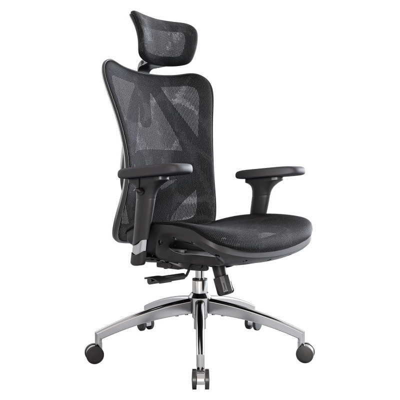 Sihoo M57 Ergonomic Office Chair