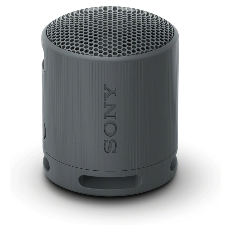 Sony SRS-XB100