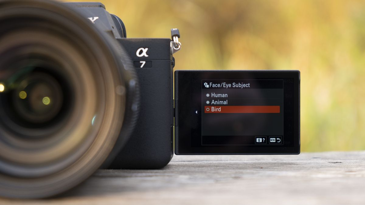 Sony Alpha A7 IV