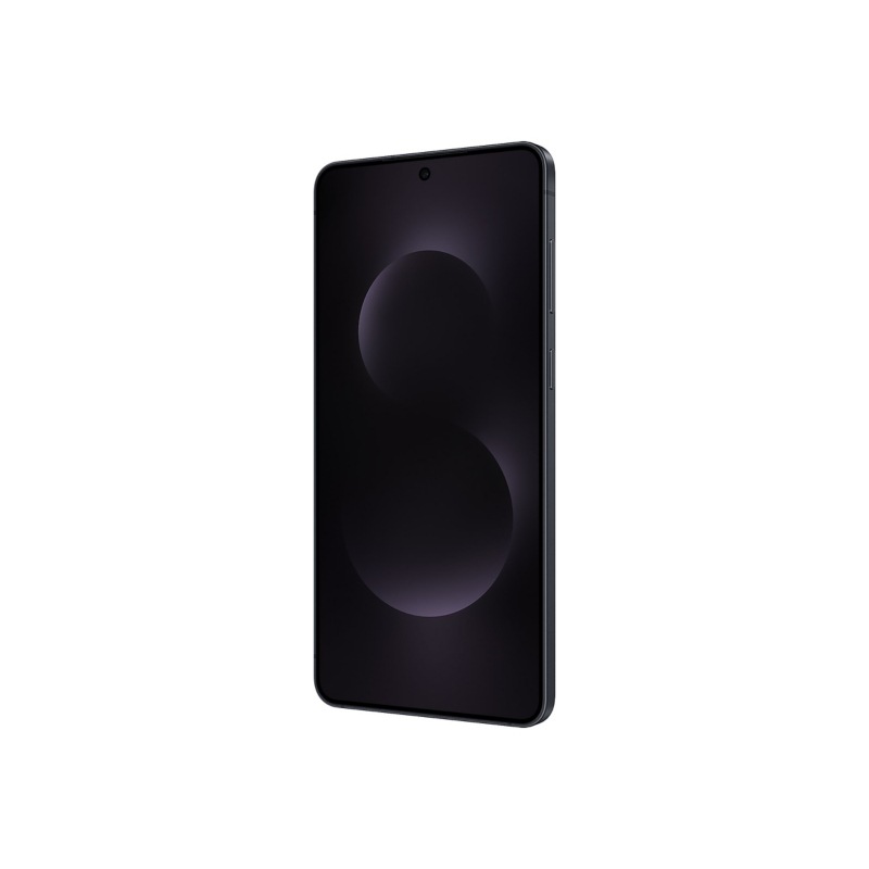 Samsung Galaxy S25