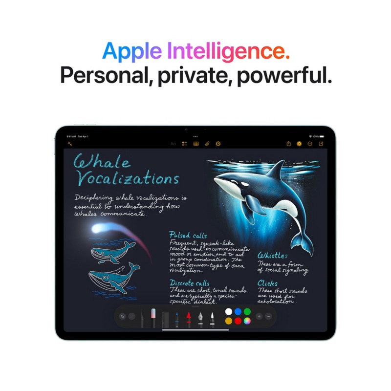 Apple iPad Air M2 13″