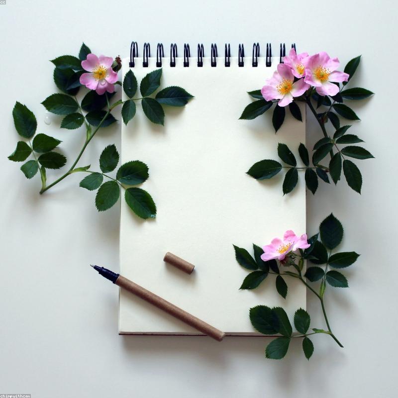 عبوة كراسات A4 (٥ قطع)