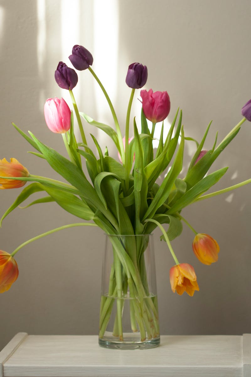 Tulip Bouquet