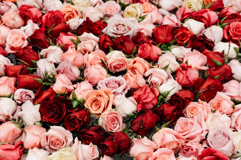 Heart Shape Arrangement