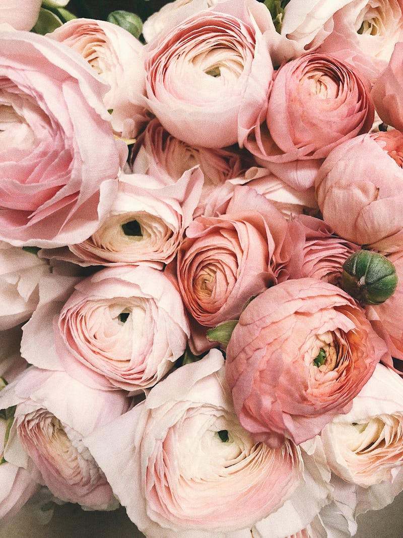 Congratulations Bouquet
