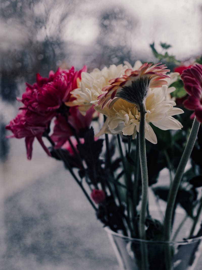 Get Well Flowers